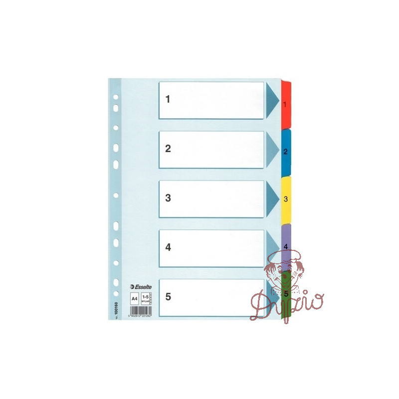 PRZEKŁADKI ESS. 100160 KART.MYL.A4 1-5 karta opis.BIAŁE. KOLOR.LAMIN.INDEK 160g