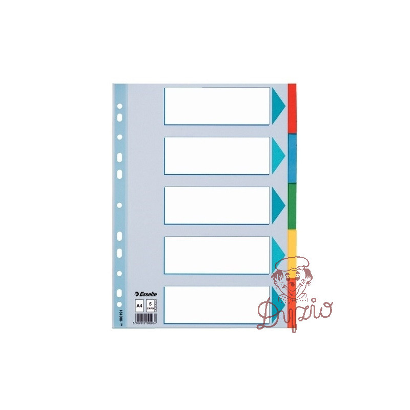 PRZEKŁADKI ESS. 100191 KART. A4  5 KOL kolorowe KARTA OPIS.  160g/m2